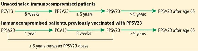 Navigating Pneumococcal Vaccination In Adults Cleveland Clinic  - Ppsv Vaccine Schedule