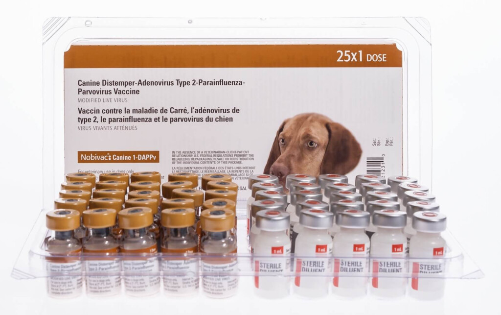 Nobivac Canine 1 DAPPv 25 X 1 Ds Vials Santa Cruz Animal Health - Dappv Vaccine Schedule