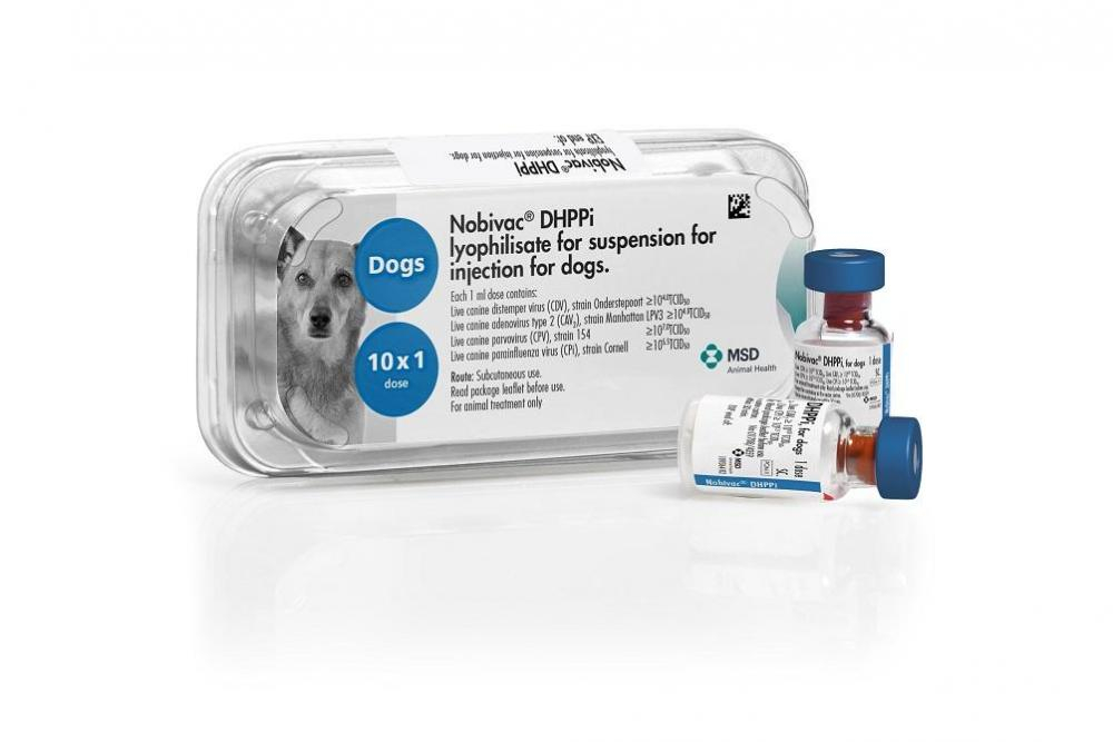 Nobivac DHPPi Vaccine For Dogs VioVet - Nobivac Dog Vaccine Schedule