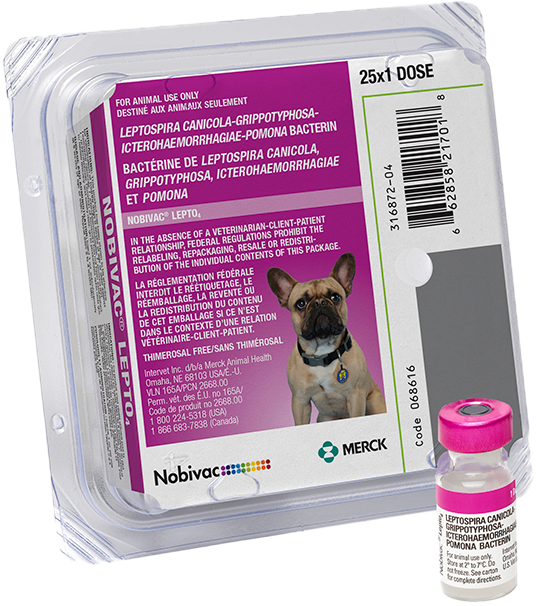 Nobivac Lepto4 Vaccine Merck Animal Health USA - Dog Lepto Vaccine Schedule