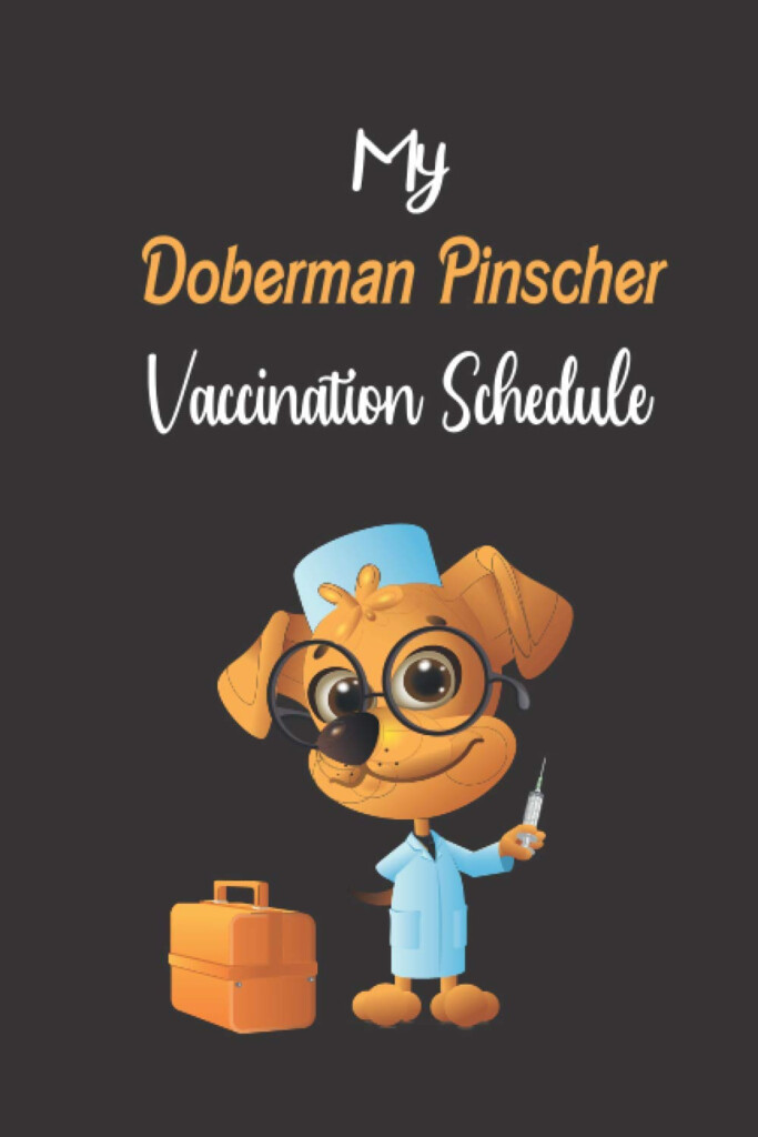 Pinscher Hitta B sta Priset P Prisjakt - Doberman Vaccination Schedule