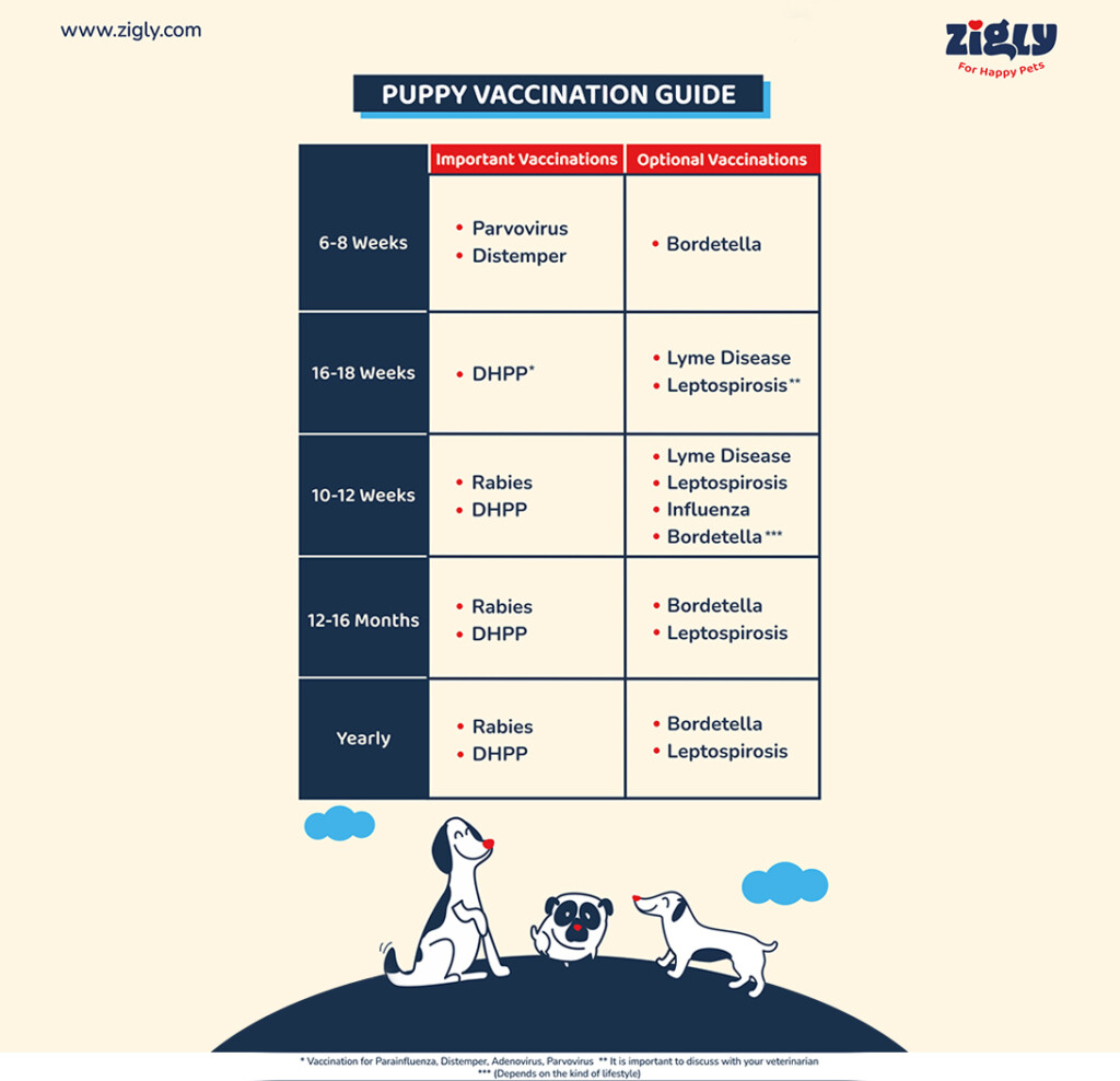 Puppy Vaccination Guide Injections Shots Cost Zigly Blog - Tractor Supply Puppy Vaccine Schedule