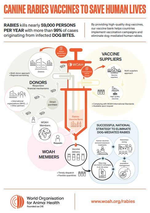 Rabies WOAH World Organisation For Animal Health - Canine Rabies Vaccine Schedule