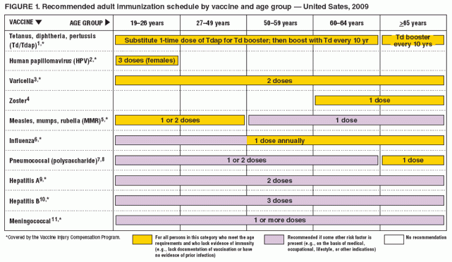 Recommended Adult Immunization Schedule United States 2009 - Vaccine Schedule Nclex