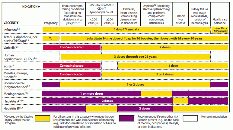 Recommended Adult Immunization Schedule United States 2011 - Vaccine Schedule Ny State