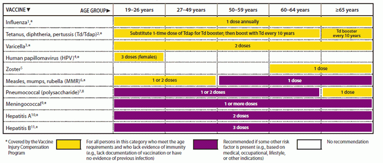 Recommended Adult Immunization Schedule United States 2011 - Flu Vaccine Schedule For Adults