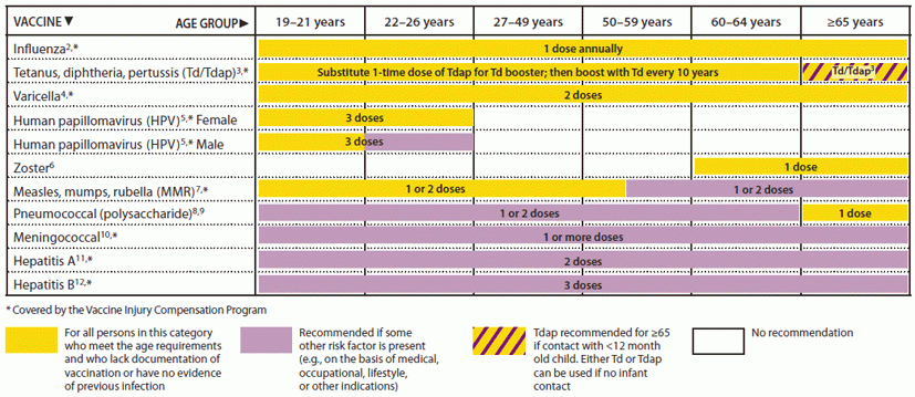 Recommended Adult Immunization Schedule United States 2012 - Mmr Vaccine Series Schedule