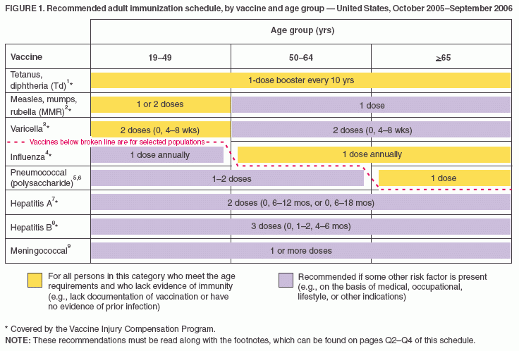 Recommended Adult Immunization Schedule United States October 2005  - Varicella Zoster Vaccine Schedule Adults