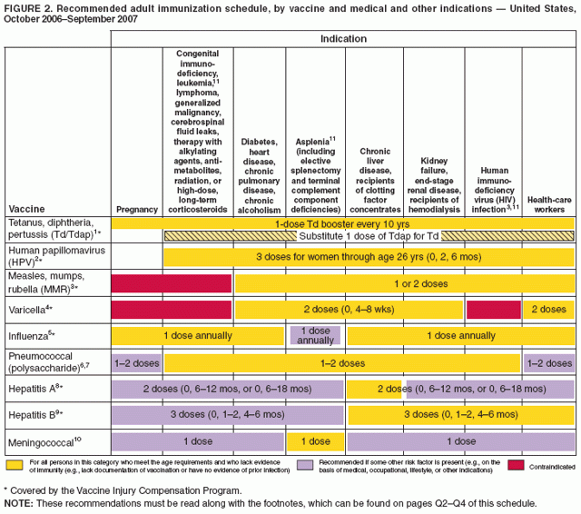 Recommended Adult Immunization Schedule United States October 2006  - Cvs Schedule Vaccine Tdap