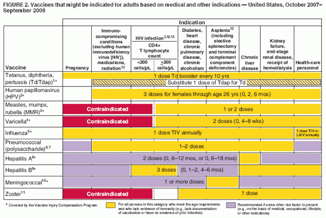 Recommended Adult Immunization Schedule United States October 2007  - Cdc Vaccine Schedule Pdf