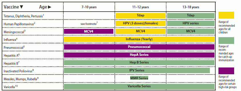 Recommended Immunization Schedules For Persons Aged 0 Through 18 Years  - Pentavalent Vaccine Schedule