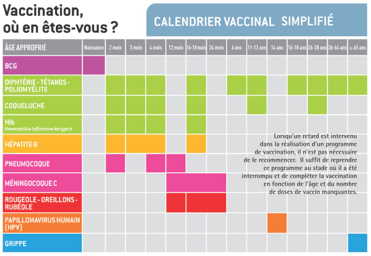 S ances Publiques De Vaccinations - Vaccination Schedule In France