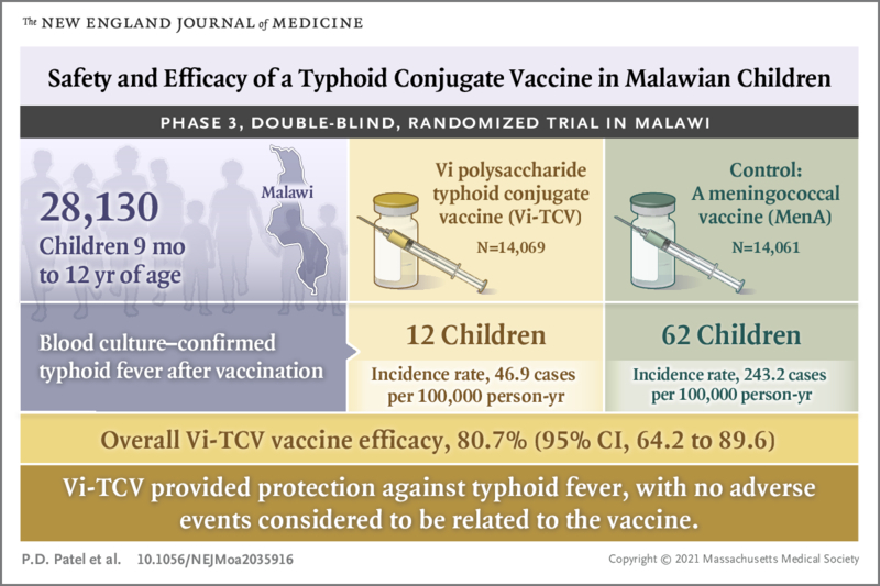 Safety And Efficacy Of A Typhoid Conjugate Vaccine In Malawian Children  - Typhoid Conjugate Vaccine Schedule