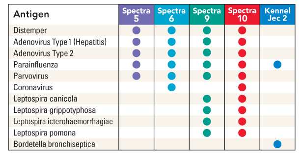 SpectraChart Durvet - Spectra 10 Vaccine Schedule