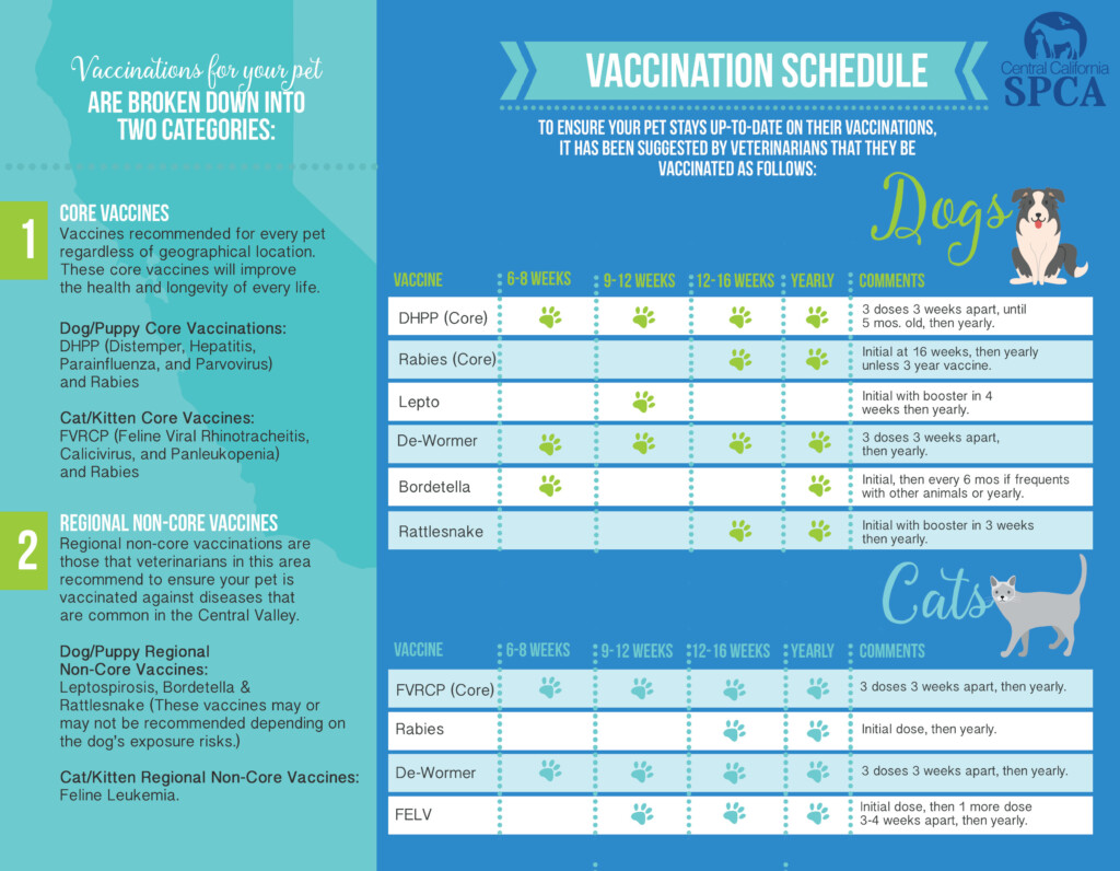 Super Low Cost Vaccination Clinic Central California SPCA Fresno CA - Dogs Vaccines Schedule