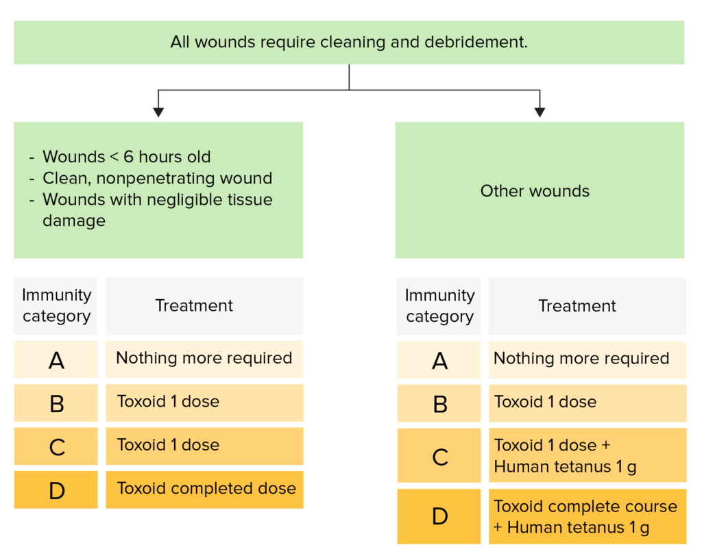 T tano Concise Medical Knowledge - Tetanus Toxoid Vaccination Schedule