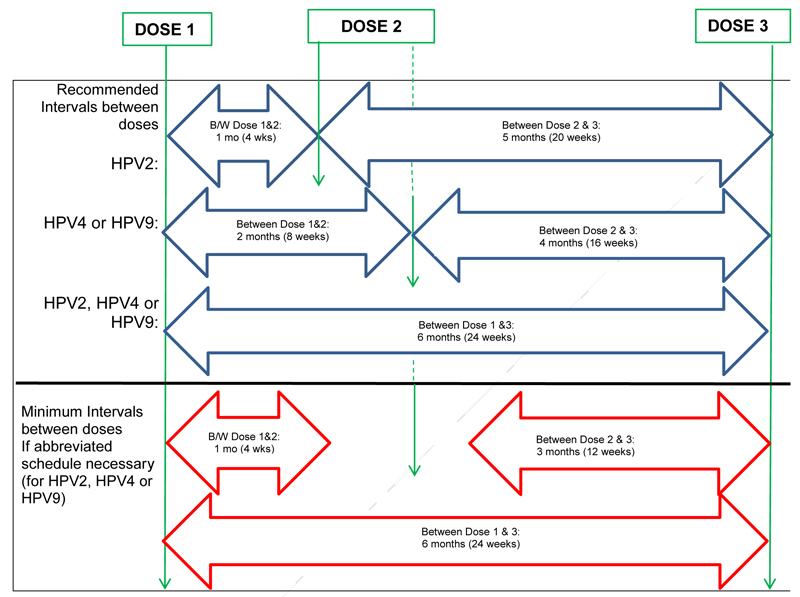 Updated Recommendations On Human Papillomavirus Vaccines 9 valent HPV  - Hpv Vaccine Booster Schedule