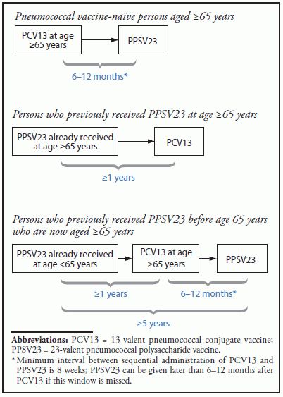 Use Of 13 Valent Pneumococcal Conjugate Vaccine And 23 Valent  - Pcv23 Vaccine Schedule