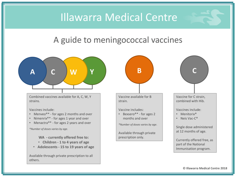 Useful Guide To Meningococcal Vaccines Illawarra Medical Centre - Meningococcal B Vaccine Schedule Australia