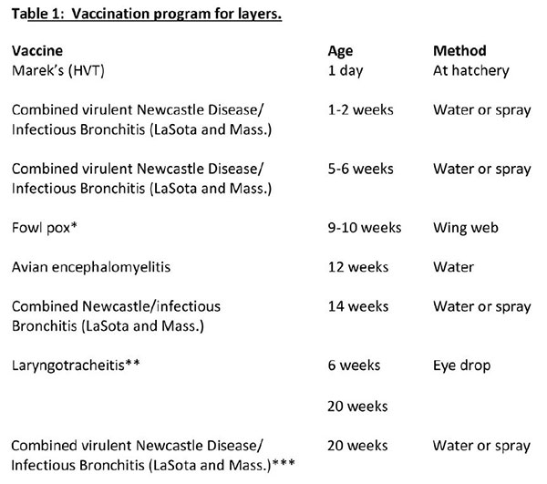 Vaccination Program For Chickens In Colorado 2 501 Extension - Laying Hens Layer Poultry Vaccination Schedule