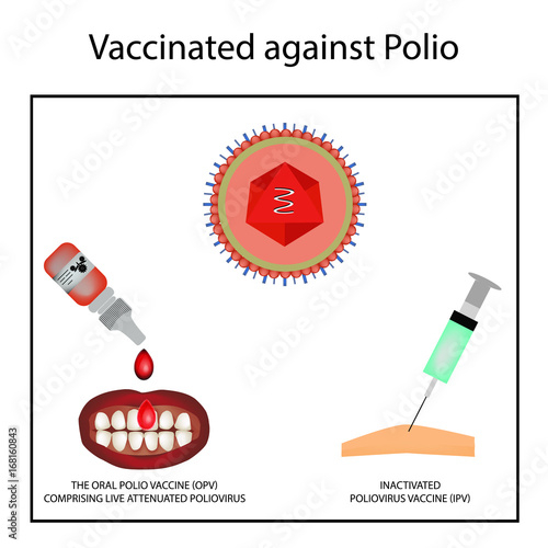 Vaccinations Against Poliomyelitis World Polio Day Inactivated  - Opv Polio Vaccine Schedule