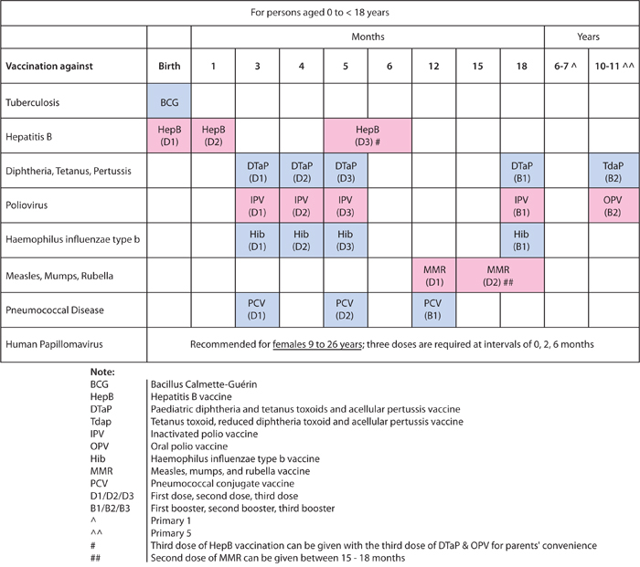 Vaccinations Immunisation Schedule Vaccination Checklist Is  - Singapore Vaccination Schedule