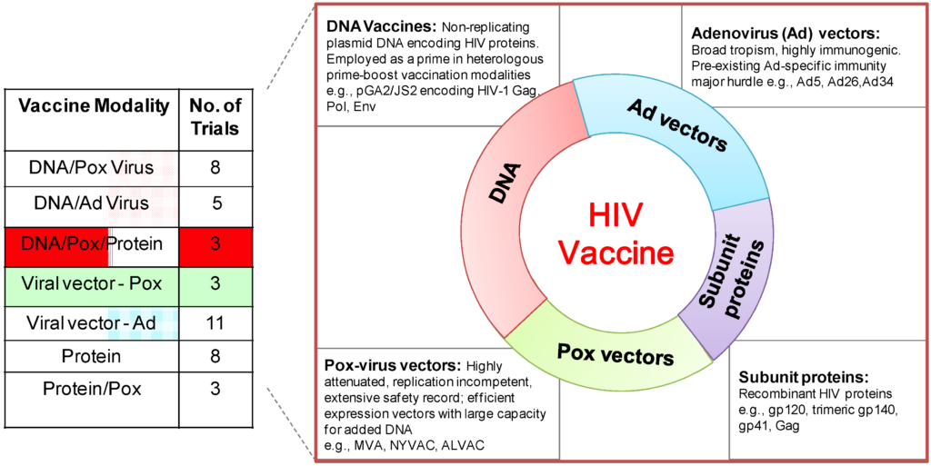 Vaccines Free Full Text DNA MVA Vaccines For HIV AIDS - Hiv Vaccine Schedule