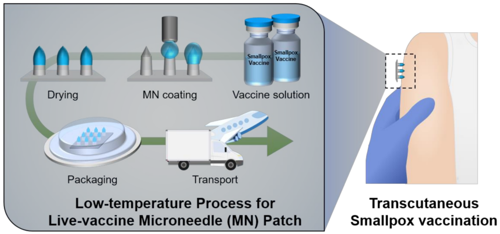 Vaccines Free Full Text Low Temperature Multiple Micro Dispensing  - Smallpox Vaccine Schedule