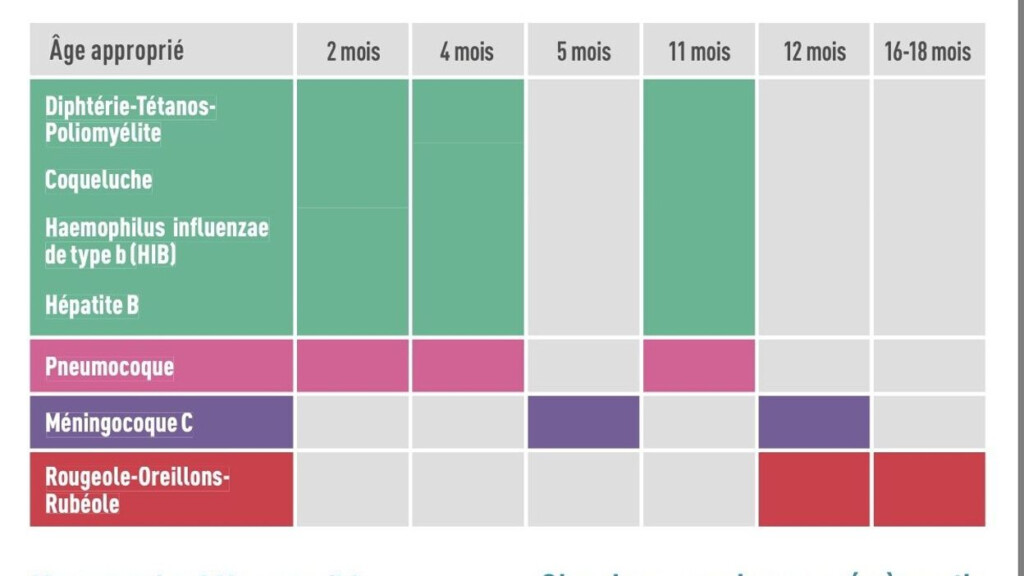 Vaccins Le Programme De Vaccination Belge Des B b s Pourrait voluer - Belgian Vaccination Schedule