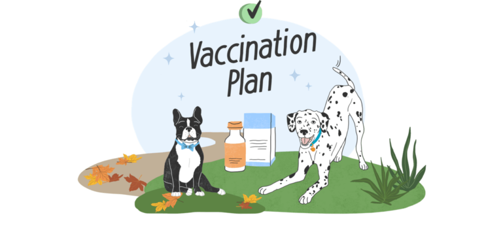 Vanguard Dog Vaccines Zoetis Petcare - Vanguard Vaccine Schedule