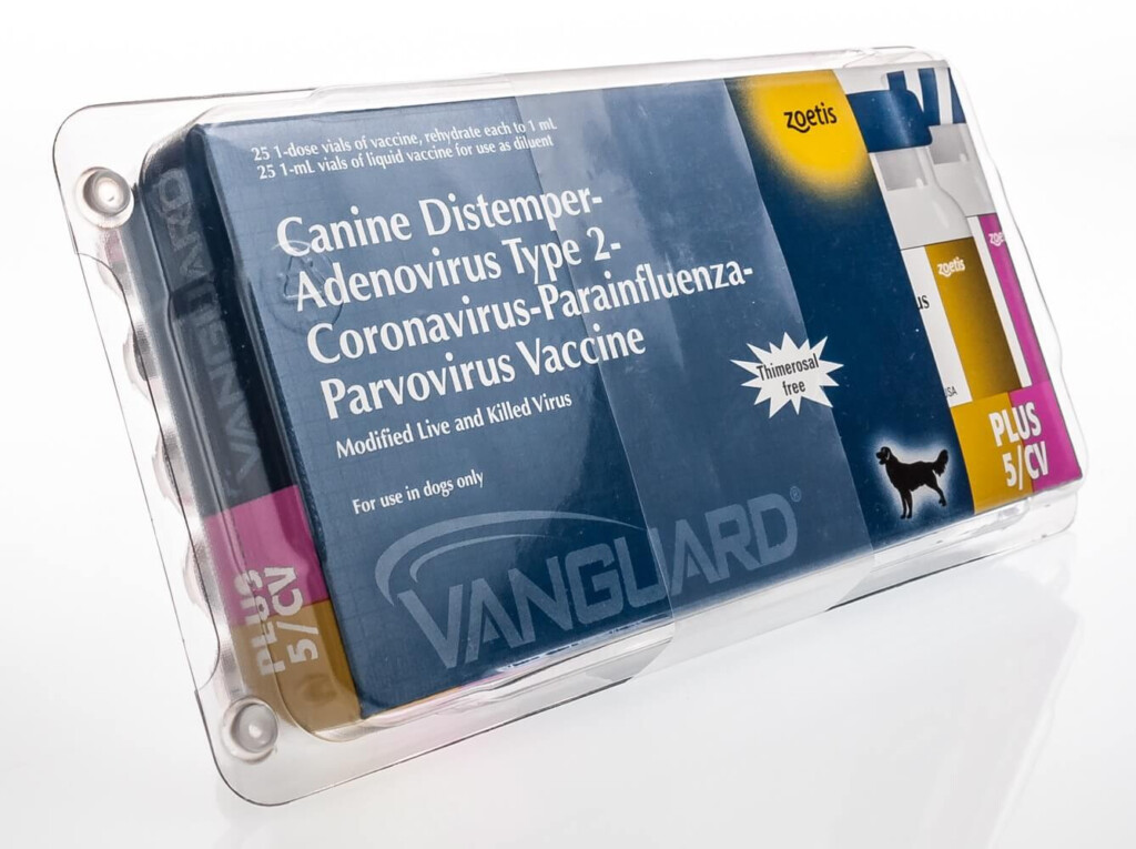 Vanguard Plus 5 CV 25 X 1 Ds Santa Cruz Animal Health - Vanguard Plus 5 Vaccine Schedule