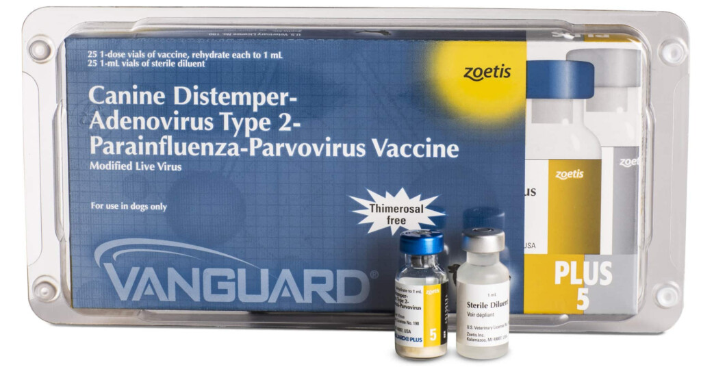 Vanguard plus 5 Spotswood Veterinary Services LLC - Vanguard Dog Vaccine Schedule