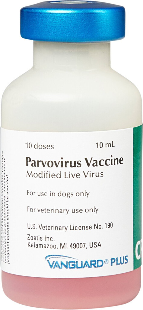 VANGUARD Plus CPV Vaccine For Dogs 25 Dose Chewy - Vanguard Dog Vaccine Schedule