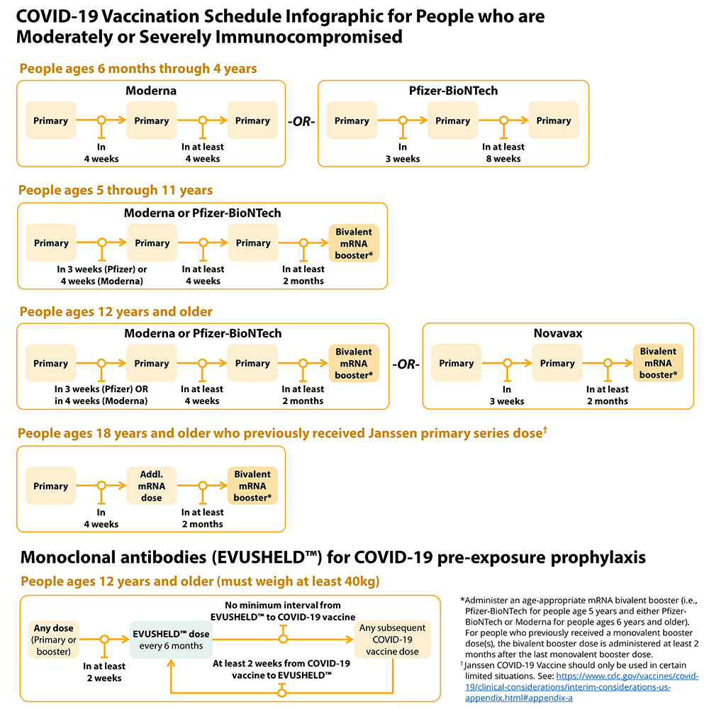 What You Need To Know About COVID 19 In 2023 National Kidney Foundation - Immunocompromised Vaccine Schedule