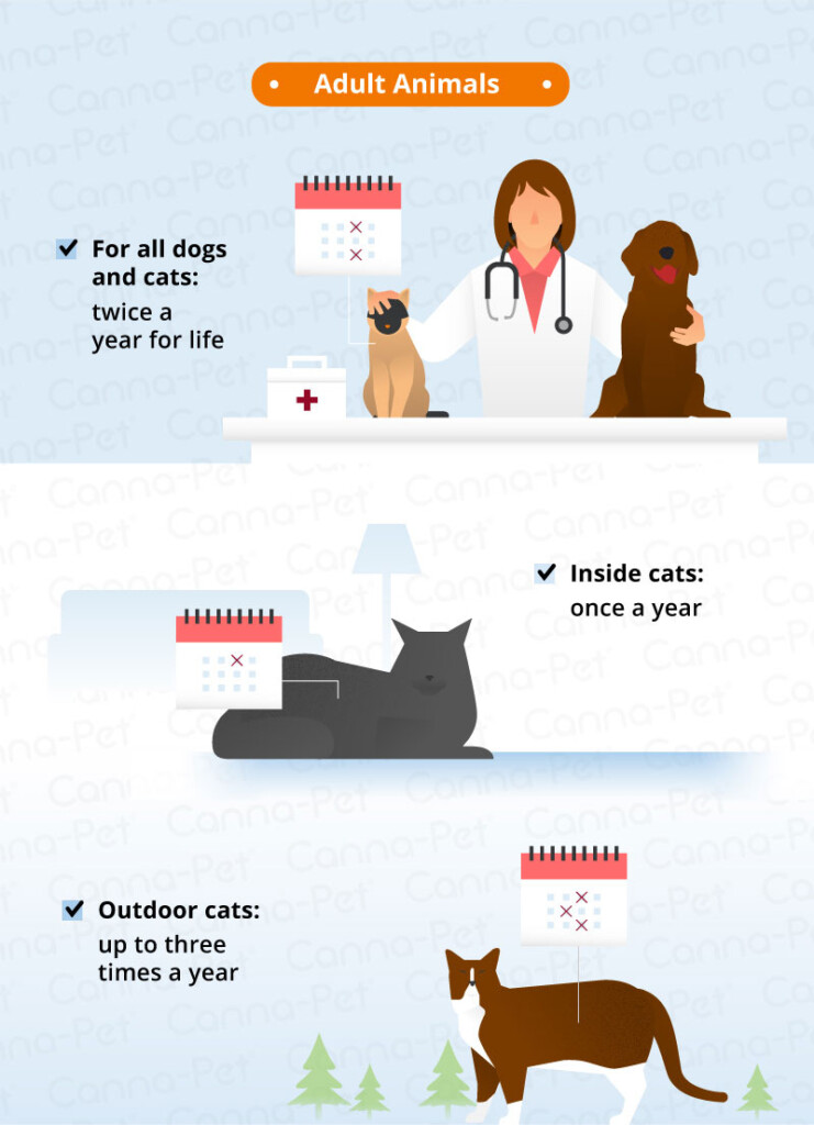 Worming Schedules For Cats Dogs Canna Pet - Kitten Deworming And Vaccine Schedule