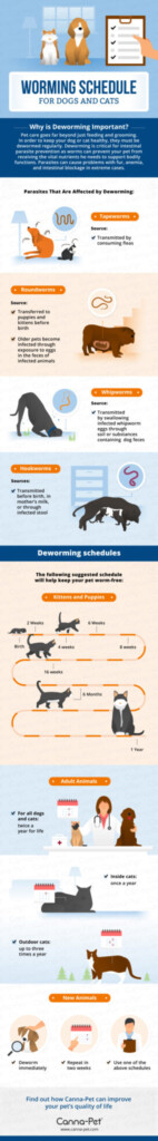 Worming Schedules For Cats Dogs Canna Pet - Kitten Deworming And Vaccine Schedule